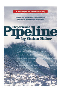 Experience Pipeline